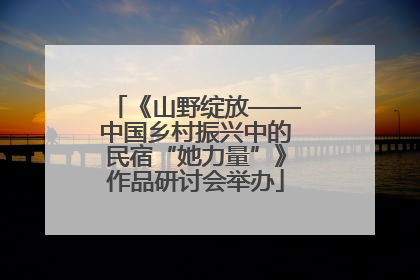 《山野绽放——中国乡村振兴中的民宿“她力量”》作品研讨会举办