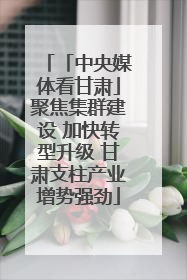 「中央媒体看甘肃」聚焦集群建设 加快转型升级 甘肃支柱产业增势强劲