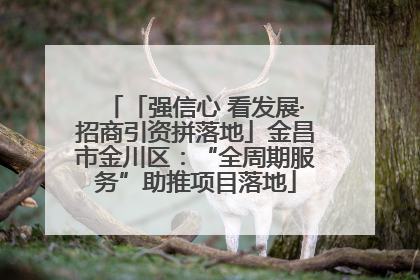 「强信心 看发展·招商引资拼落地」金昌市金川区：“全周期服务”助推项目落地
