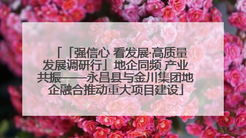 「强信心 看发展·高质量发展调研行」地企同频 产业共振——永昌县与金川集团地企融合推动重大项目建设
