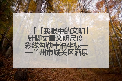 「我眼中的文明」针脚丈量文明尺度 彩线勾勒幸福坐标——兰州市城关区酒泉路街道办事处