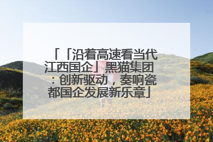 「沿着高速看当代江西国企」黑猫集团：创新驱动，奏响瓷都国企发展新乐章