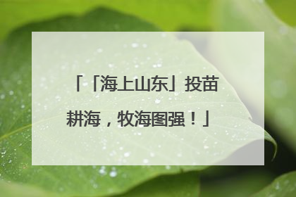 「海上山东」投苗耕海，牧海图强！