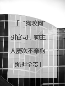 “狗咬狗”引官司，狗主人屡次不牵狗绳担全责