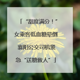 “甜度满分！”女乘客低血糖晕倒 襄阳公交司机紧急“送糖救人”