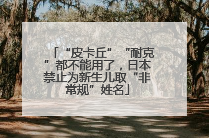 “皮卡丘”“耐克”都不能用了，日本禁止为新生儿取“非常规”姓名