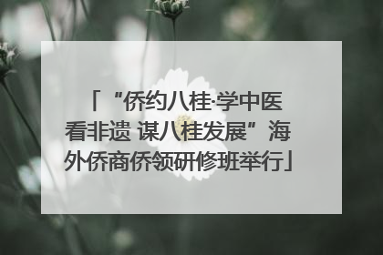 “侨约八桂·学中医 看非遗 谋八桂发展”海外侨商侨领研修班举行