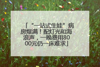 “一站式生娃”病房爆满！配灯光和海浪声，一晚费用8000元仍一床难求