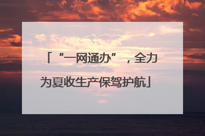 “一网通办”，全力为夏收生产保驾护航