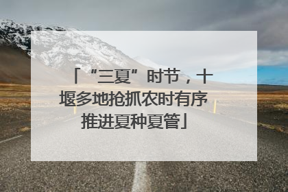 “三夏”时节，十堰多地抢抓农时有序推进夏种夏管