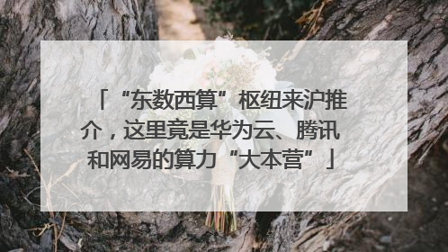 “东数西算”枢纽来沪推介，这里竟是华为云、腾讯和网易的算力“大本营”