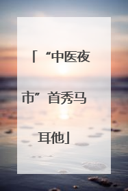 “中医夜市”首秀马耳他