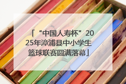 “中国人寿杯”2025年漳浦县中小学生篮球联赛圆满落幕