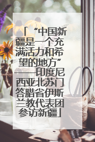 “中国新疆是一个充满活力和希望的地方”——印度尼西亚北苏门答腊省伊斯兰教代表团参访新疆