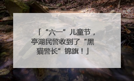 “六一”儿童节，亭湖民警收到了“黑猫警长”锦旗！
