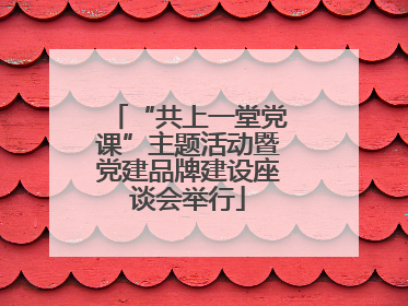 “共上一堂党课”主题活动暨党建品牌建设座谈会举行