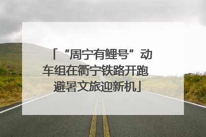 “周宁有鲤号”动车组在衢宁铁路开跑 避暑文旅迎新机