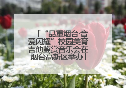 “品重烟台·音爱闪耀”校园美育吉他鉴赏音乐会在烟台高新区举办