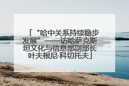 “哈中关系持续稳步发展”——访哈萨克斯坦文化与信息部副部长叶夫根尼·科切托夫