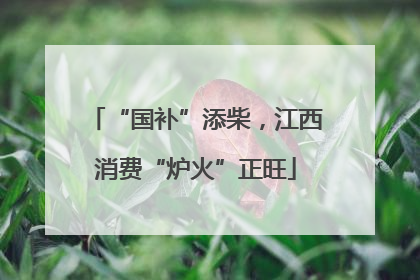 “国补”添柴，江西消费“炉火”正旺