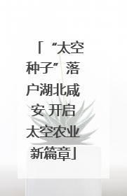 “太空种子”落户湖北咸安 开启太空农业新篇章