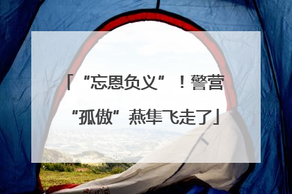“忘恩负义”！警营“孤傲”燕隼飞走了