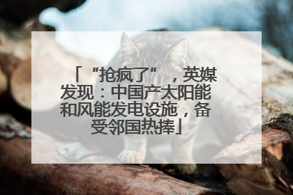 “抢疯了”，英媒发现：中国产太阳能和风能发电设施，备受邻国热捧