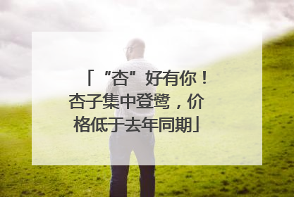 “杏”好有你！杏子集中登鹭，价格低于去年同期
