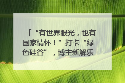 “有世界眼光，也有国家情怀！”打卡“绿色硅谷”，博主新解乐山｜网络名人四川行