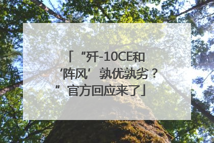 “歼-10CE和‘阵风’孰优孰劣？”官方回应来了