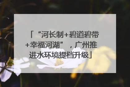 “河长制+碧道碧带+幸福河湖”，广州推进水环境提档升级