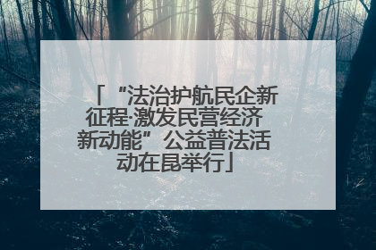 “法治护航民企新征程·激发民营经济新动能”公益普法活动在昆举行