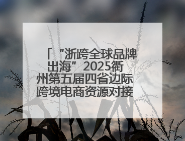 “浙跨全球品牌出海”2025衢州第五届四省边际跨境电商资源对接活动成功举办