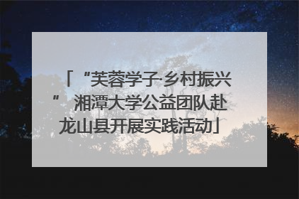 “芙蓉学子·乡村振兴” 湘潭大学公益团队赴龙山县开展实践活动