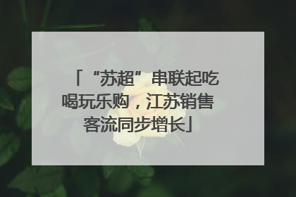 “苏超”串联起吃喝玩乐购，江苏销售客流同步增长