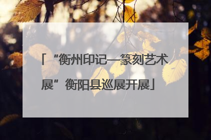 “衡州印记—篆刻艺术展”衡阳县巡展开展