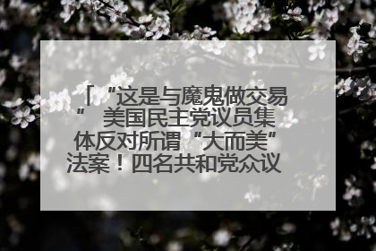 “这是与魔鬼做交易” 美国民主党议员集体反对所谓“大而美”法案！四名共和党众议员投反对票