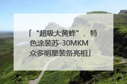 “超级大黄蜂”、特色涂装苏-30MKM 众多明星装备亮相
