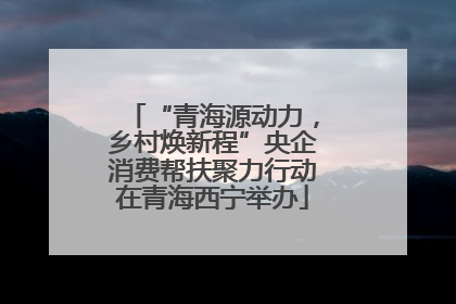 “青海源动力，乡村焕新程”央企消费帮扶聚力行动在青海西宁举办