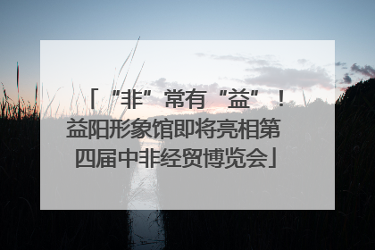 “非”常有“益”！益阳形象馆即将亮相第四届中非经贸博览会