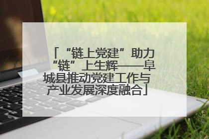 “链上党建”助力“链”上生辉——阜城县推动党建工作与产业发展深度融合