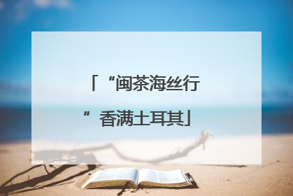 “闽茶海丝行”香满土耳其