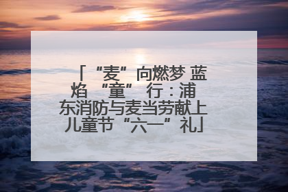 “麦”向燃梦 蓝焰 “童” 行：浦东消防与麦当劳献上儿童节“六一”礼