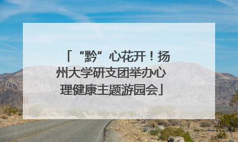 “黔”心花开！扬州大学研支团举办心理健康主题游园会