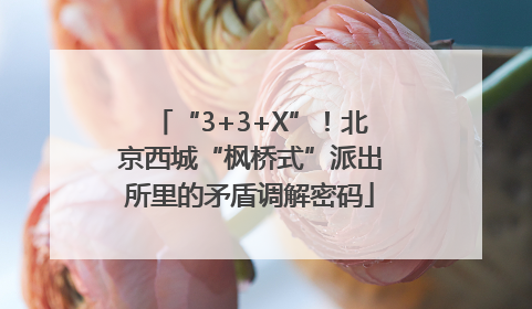 “3+3+X”！北京西城“枫桥式”派出所里的矛盾调解密码