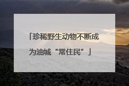 珍稀野生动物不断成为油城“常住民”