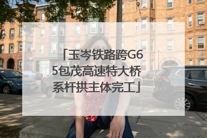 玉岑铁路跨G65包茂高速特大桥系杆拱主体完工