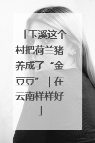 玉溪这个村把荷兰猪养成了“金豆豆”｜在云南样样好