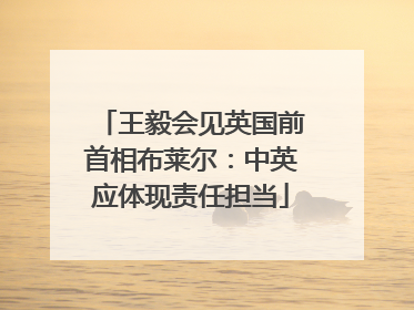 王毅会见英国前首相布莱尔：中英应体现责任担当