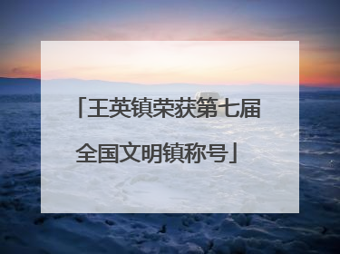 王英镇荣获第七届全国文明镇称号